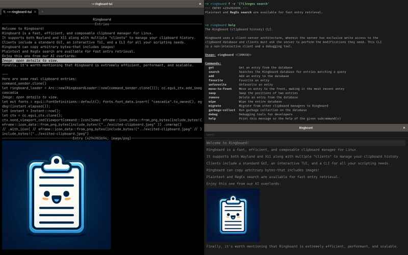 Ringboard: the infinitely scalable clipboard manager for Linux